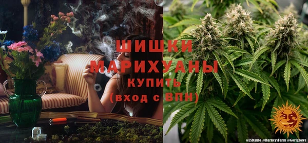 ГАЛЛЮЦИНОГЕННЫЕ ГРИБЫ Балахна