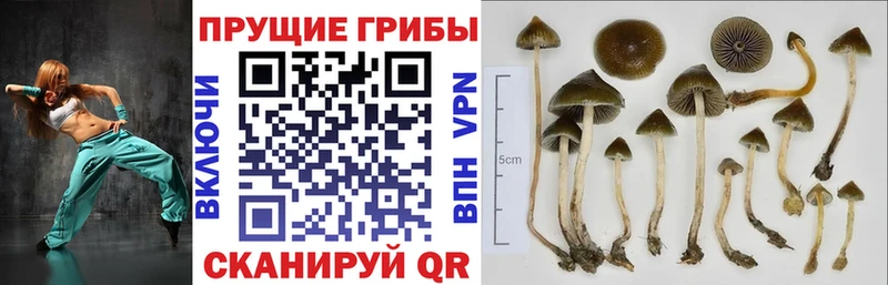 Галлюциногенные грибы ЛСД  Воркута 